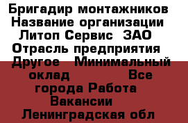 Бригадир монтажников › Название организации ­ Литоп-Сервис, ЗАО › Отрасль предприятия ­ Другое › Минимальный оклад ­ 23 000 - Все города Работа » Вакансии   . Ленинградская обл.